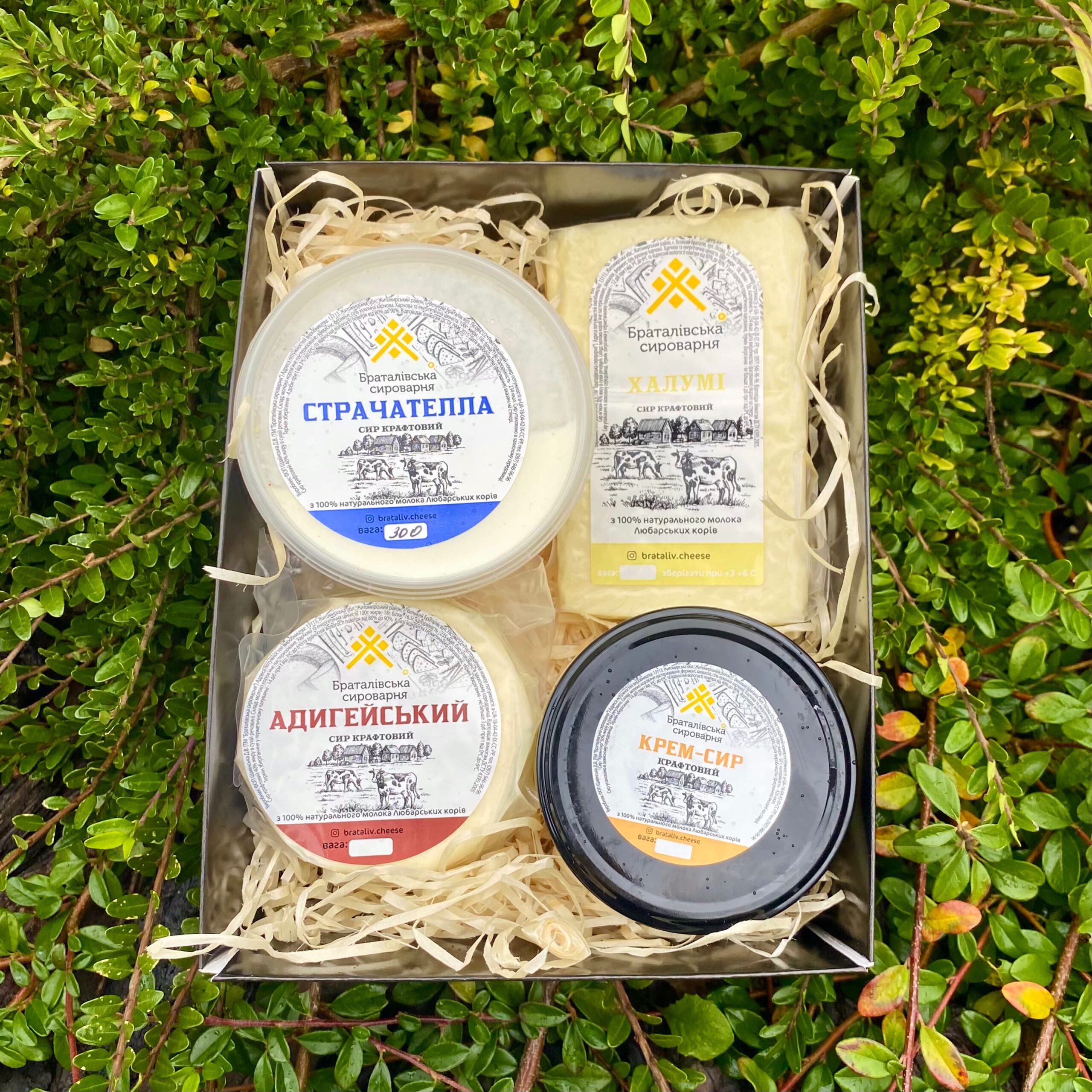 Сирний бокс №6