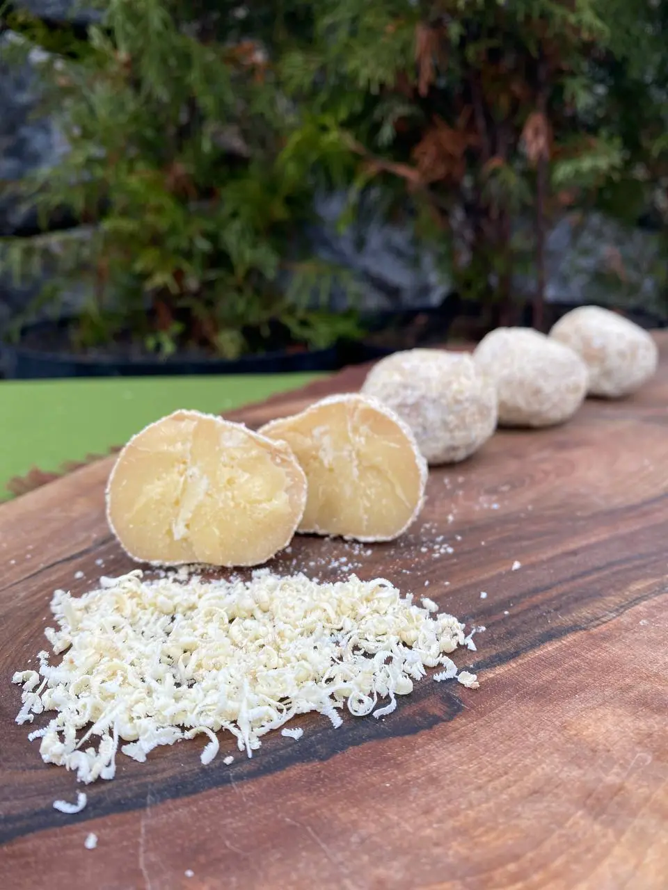 Белпер Кнолле в часнику