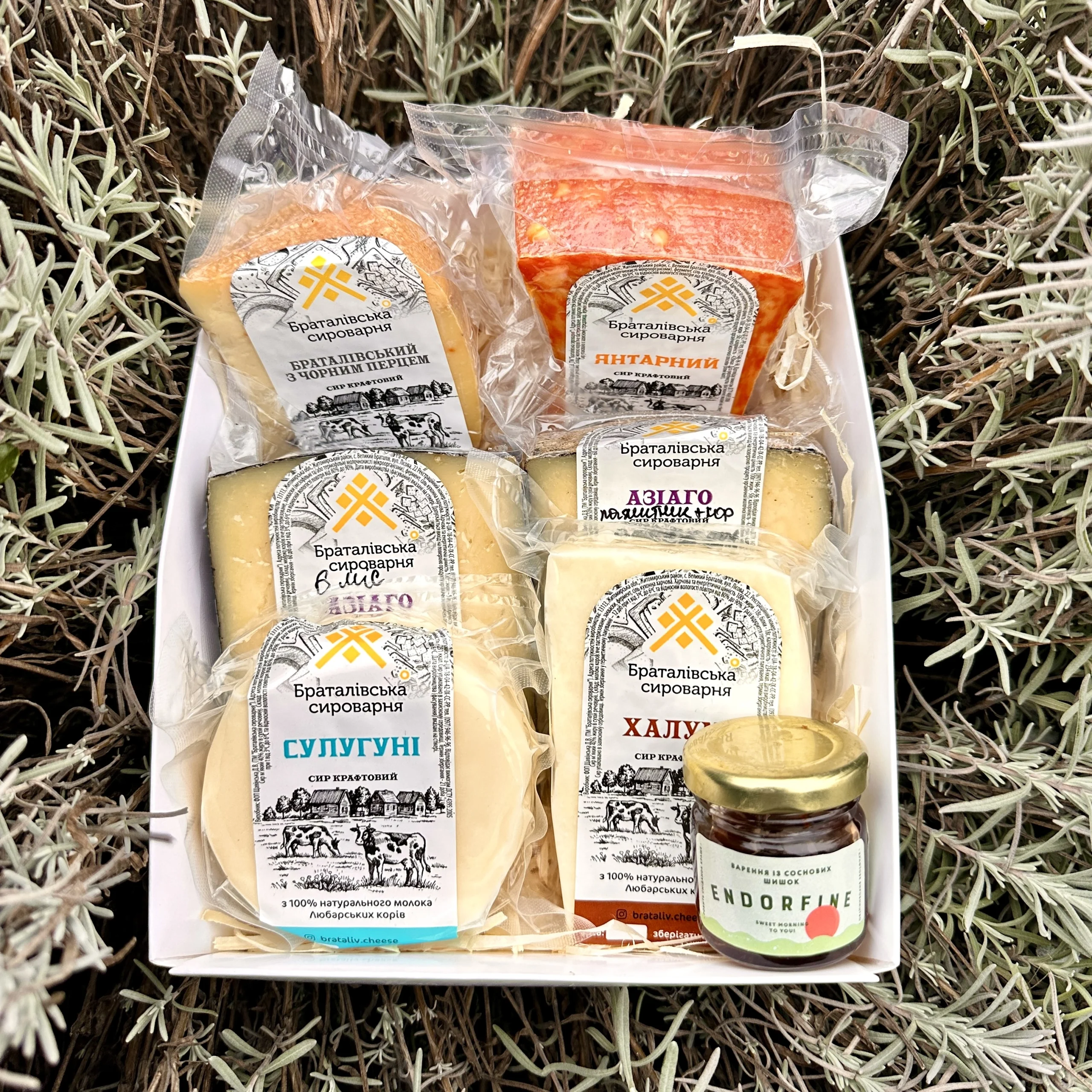 Дегустаційний набір сирів №1