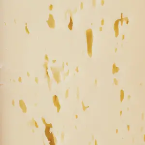 Гауда Полісся