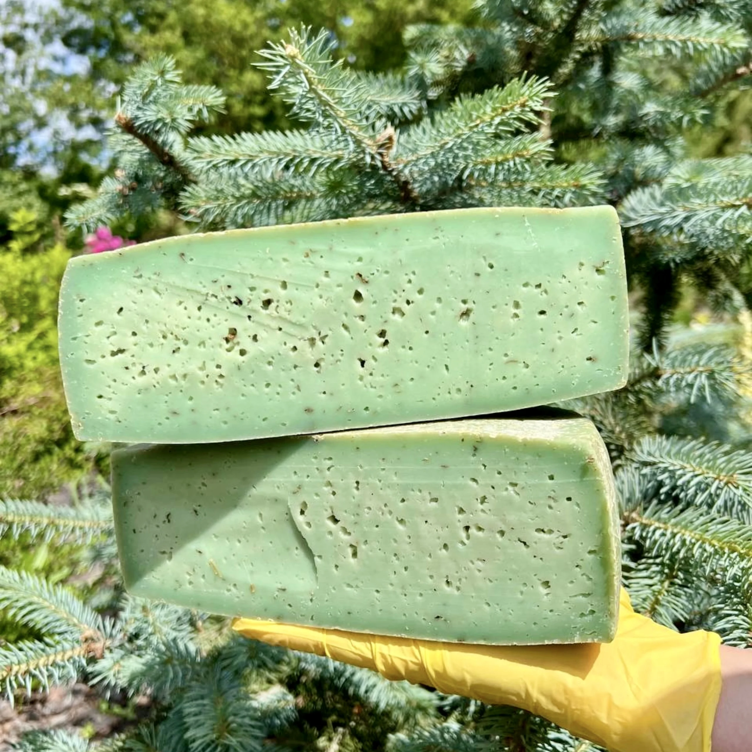 Канестрато з базиліком